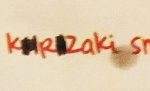 Mięso z krzaka